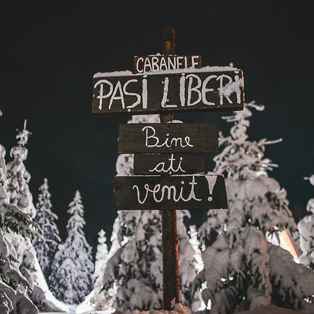 Camere De Inchiriat Pasi Liberi Tău Bistra Esterno foto